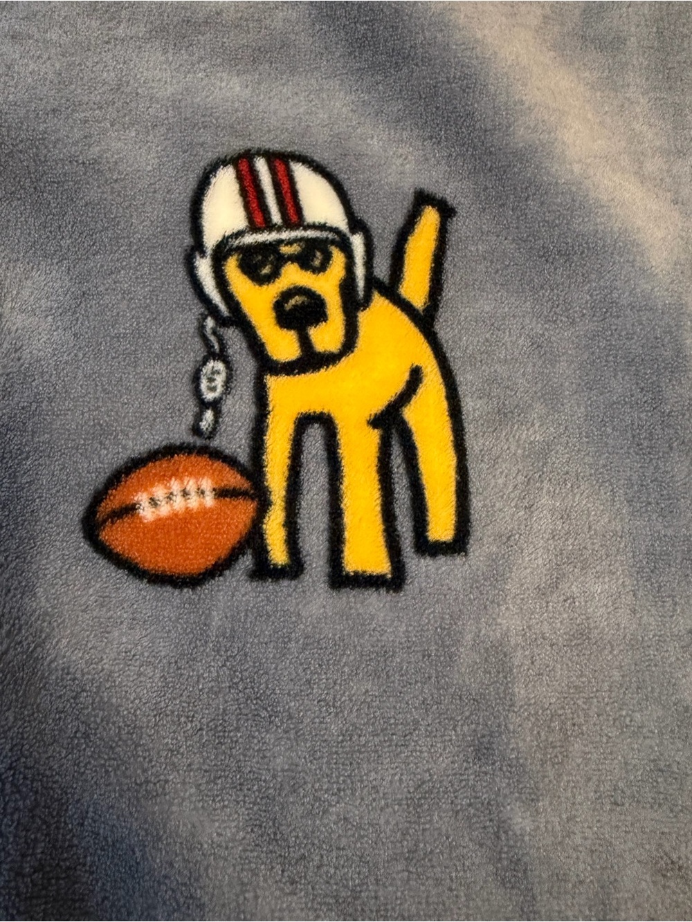 NWOT Life Is Good Plush Throw Blanket Jake Rocket Football Tailgate Party Fall - Picture 7 of 9